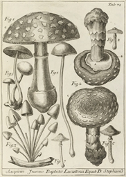 Il fondatore della micologia - 1729